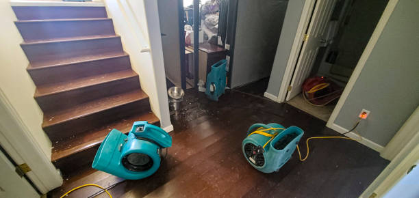 Best Sewage cleanup and water damage restoration  in Cutler Bay, FL