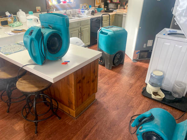 Best Flood damage cleanup  in Cutler Bay, FL
