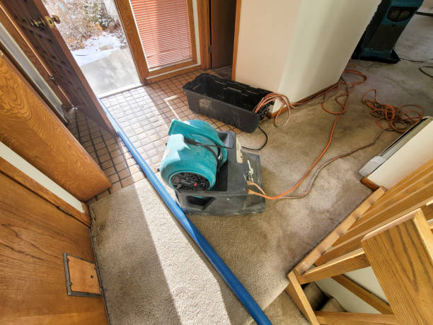 Best Water damage cleanup near me  in Cutler Bay, FL