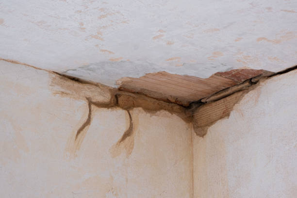 Best Flooded house restoration  in Cutler Bay, FL