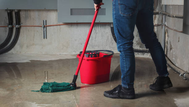 Best Water damage restoration cost  in Cutler Bay, FL