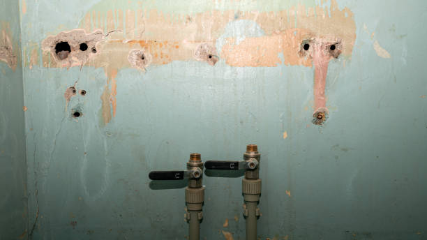 Best Mold removal after water damage  in Cutler Bay, FL
