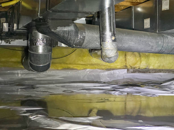 Best Basement water damage restoration  in Cutler Bay, FL