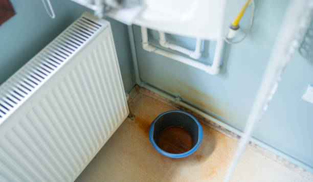 Best Commercial water damage restoration  in Cutler Bay, FL