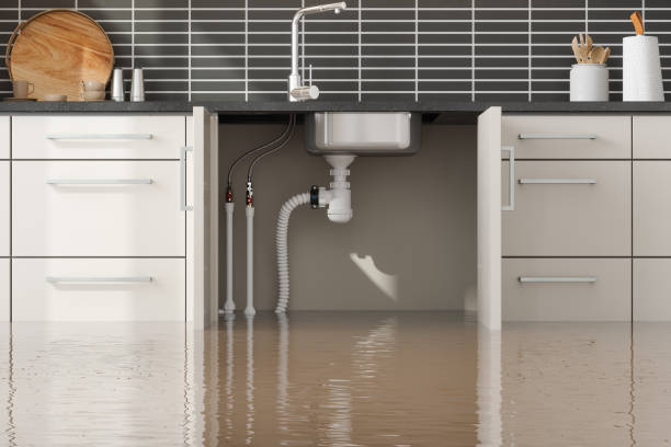 Best Water damage contractors near me  in Cutler Bay, FL