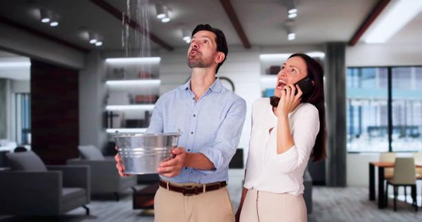 Best Water damage restoration near me  in Cutler Bay, FL